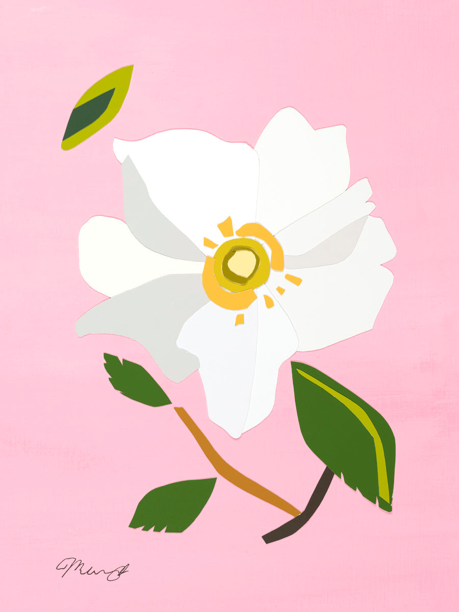 White Camellia